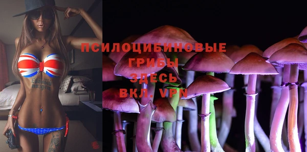 mdpv Инсар