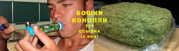 тгк Инта