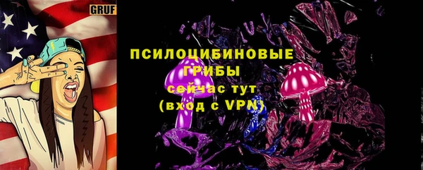 МДПВ Иннополис