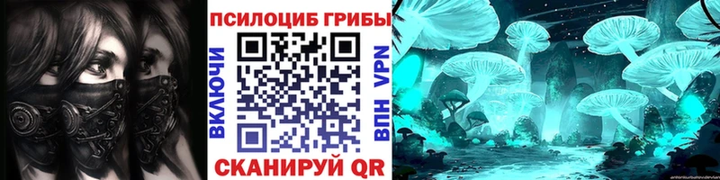 Купить  Раменское  Галлюциногенные грибы Cubensis 